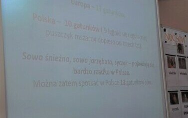 Noc s&oacute;w_5