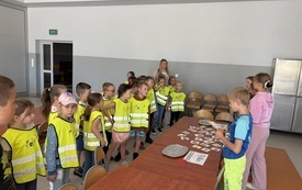 IMG_1995