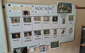 Noc s&oacute;w_2